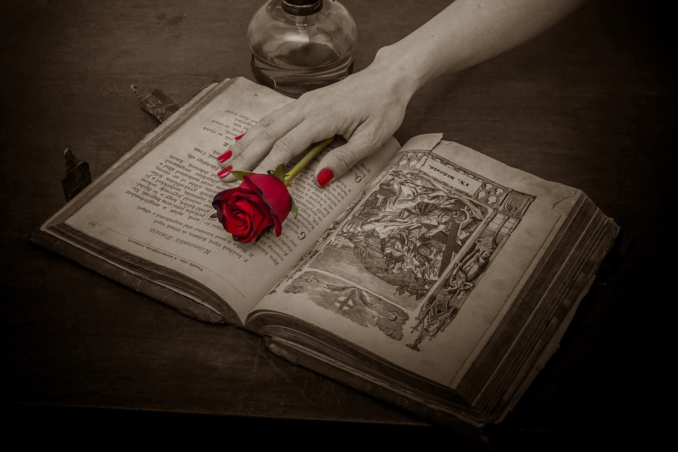 prayer book, rose, red rose