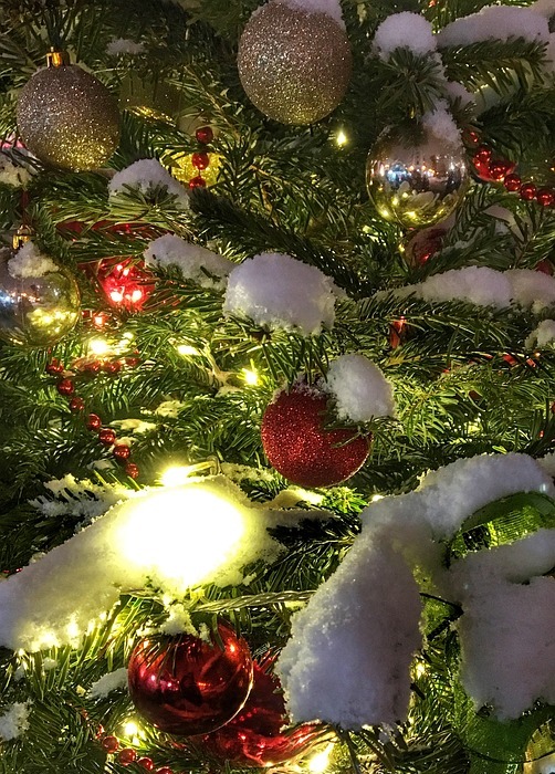 new year, illuminations, christmas tree