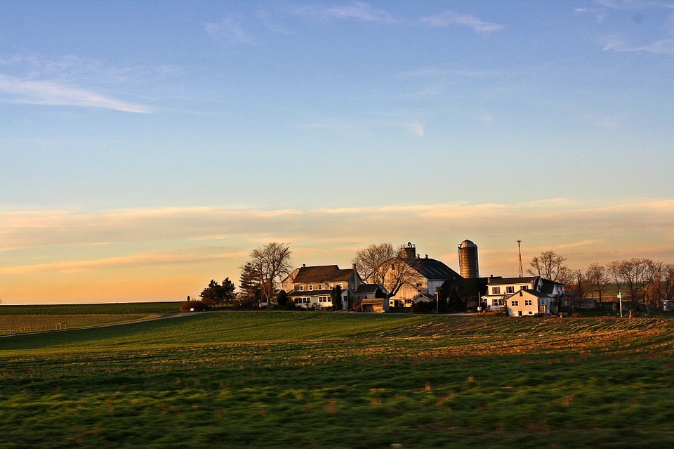 amish, countryside, rural