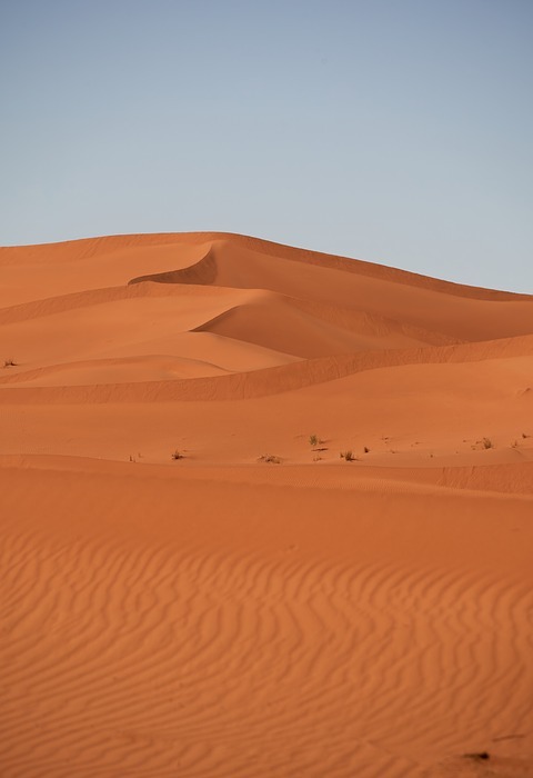 desert, sahara, sand