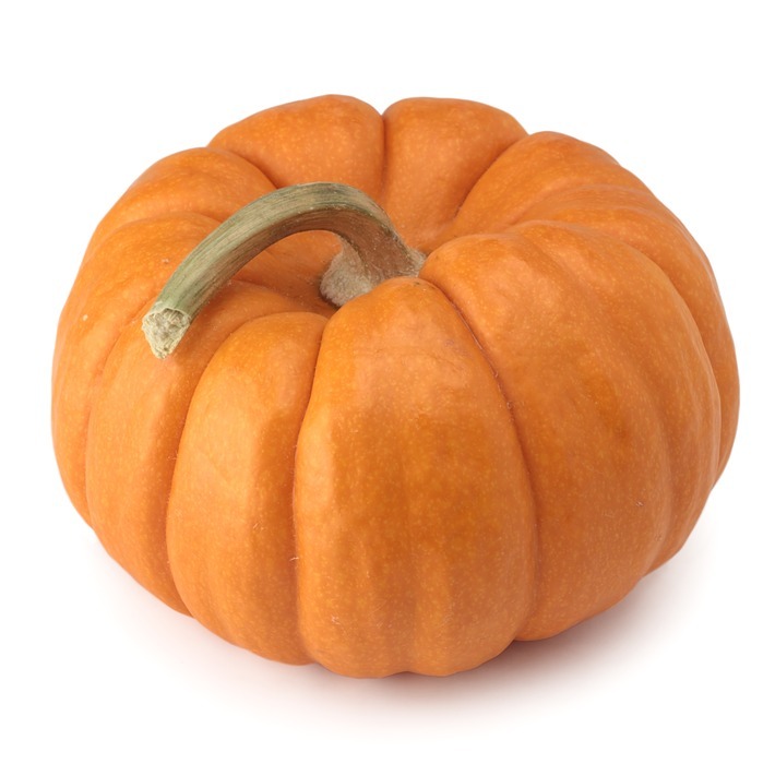 pumpkin, halloween, thanksgiving