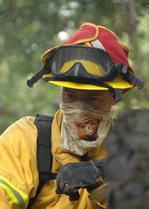 firefighter, fireman, forest-fire
