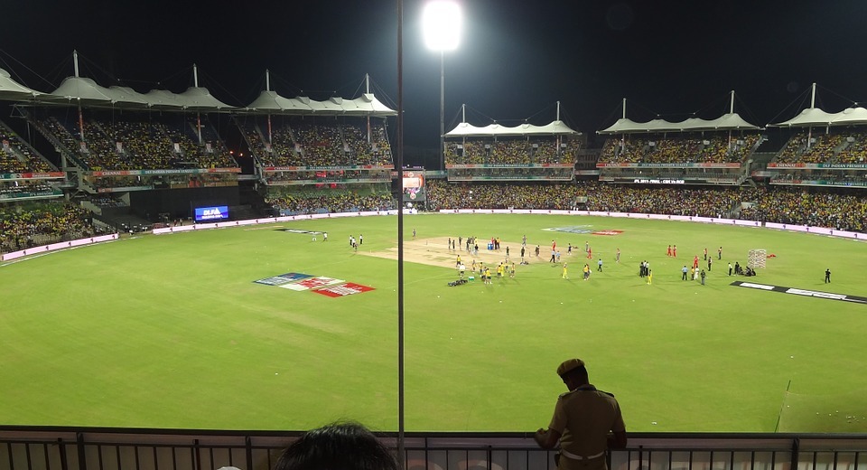 cricket, cricket ground, sport