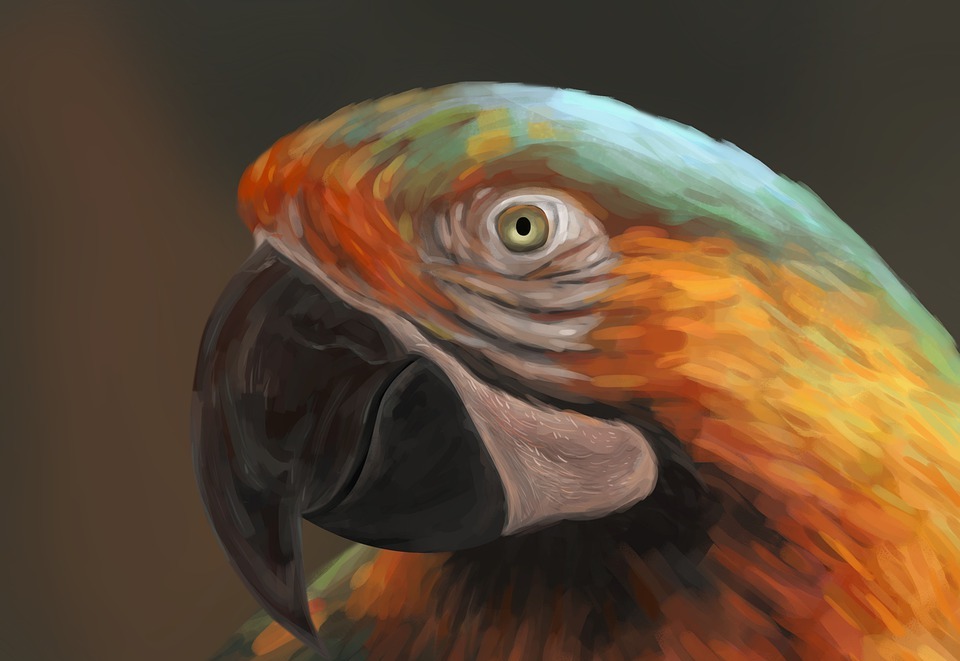 parrot, painting, artwork