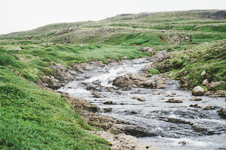 water, stream, rocks