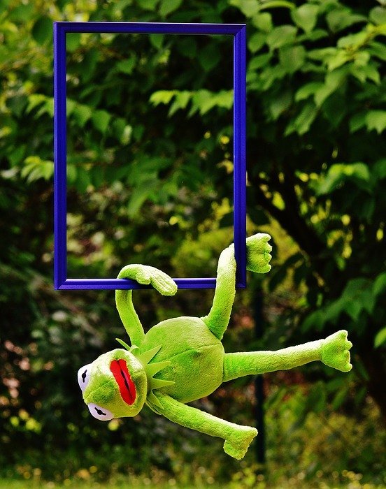 out of the ordinary, kermit, frog
