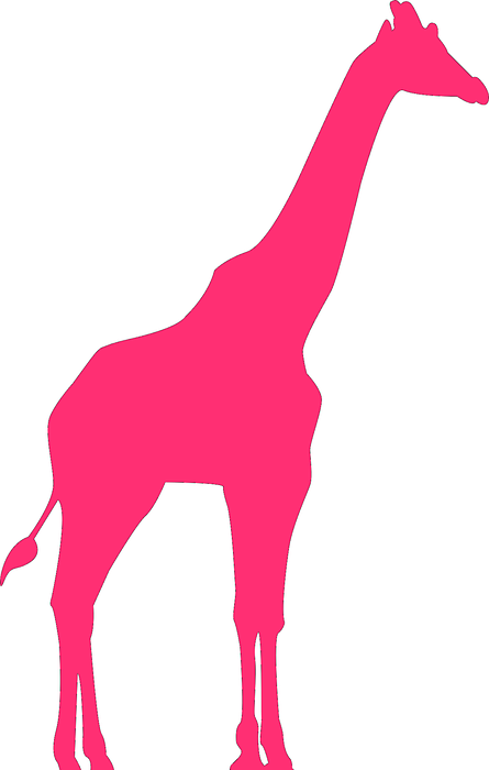 giraffe, animal, pink