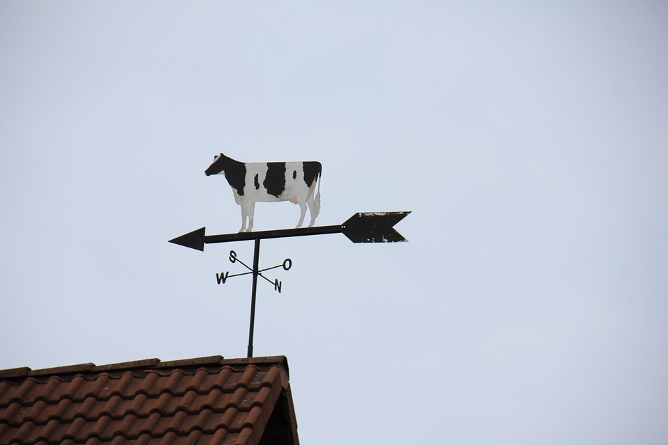 animal, cow, wind vane