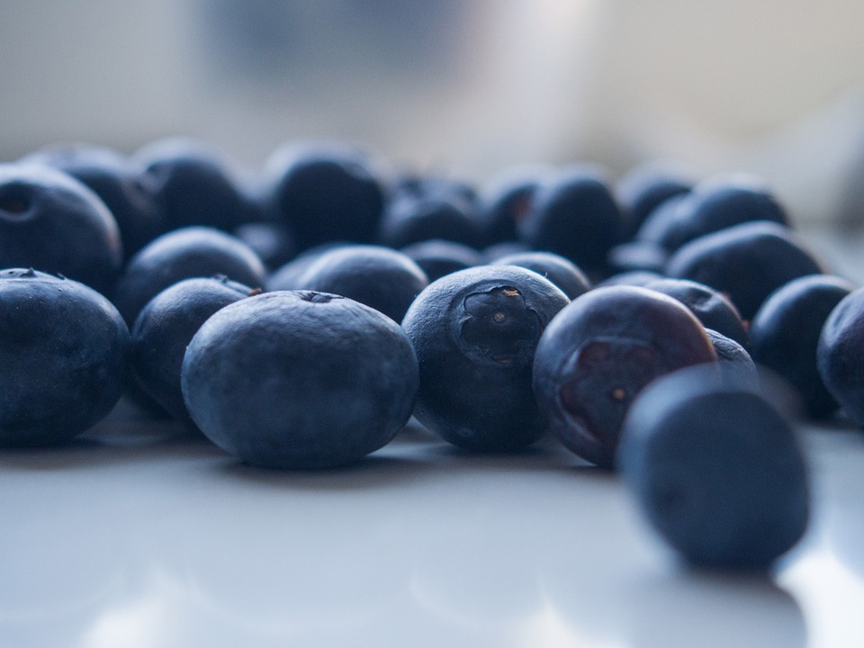 blueberries, fruits, healthy
