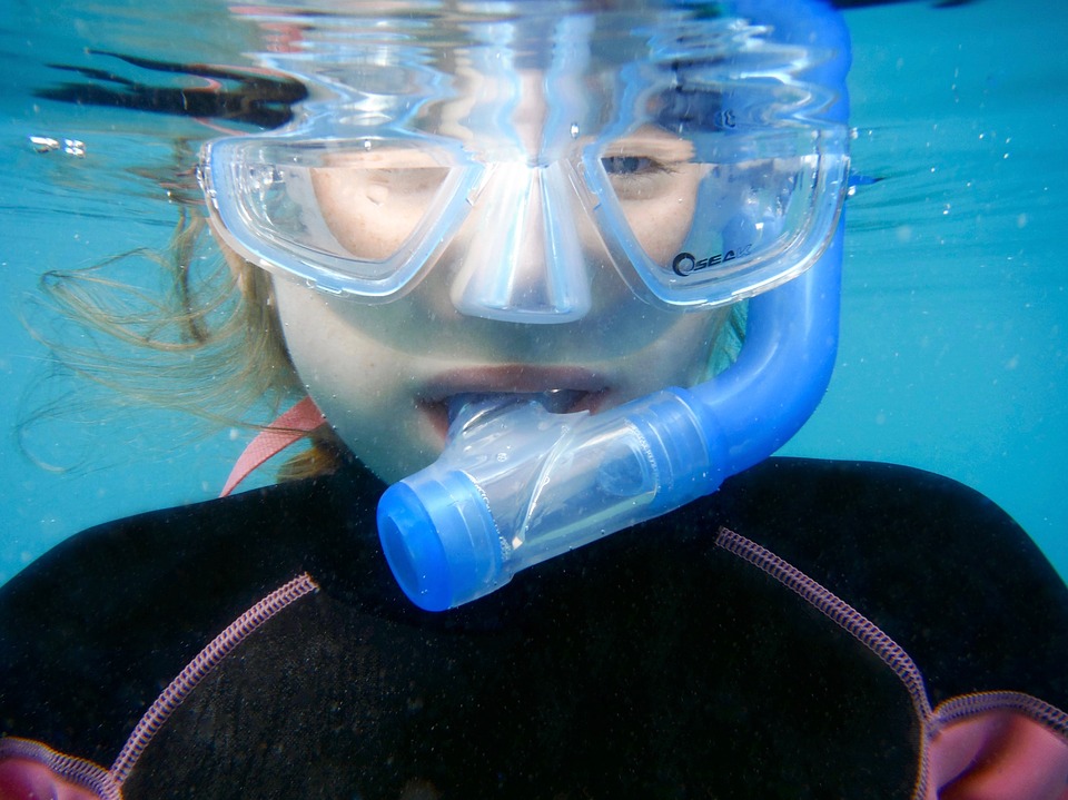 snorkelling, swimming, summer