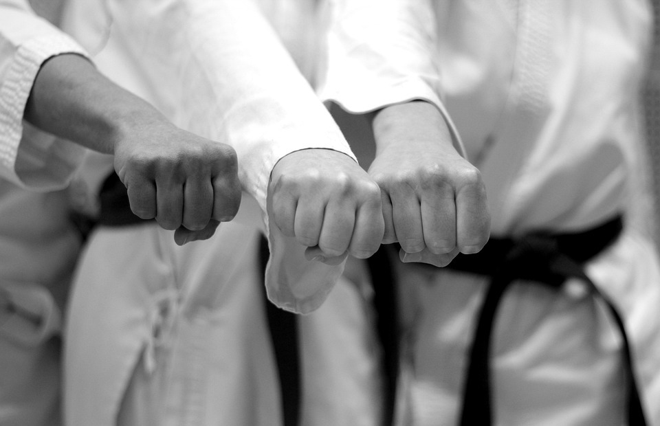 karate, battle, fist