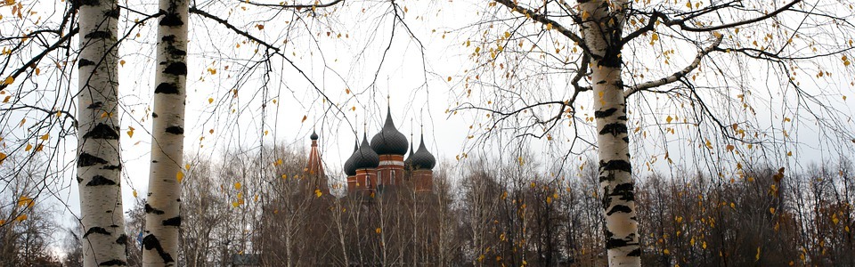 yaroslavl, temple, birch trees
