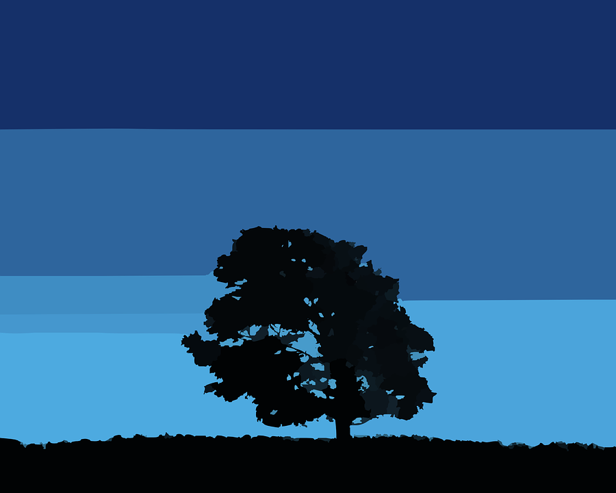 tree, silhouette, sky