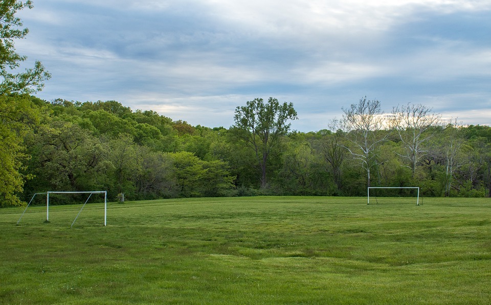 soccer, field, sport
