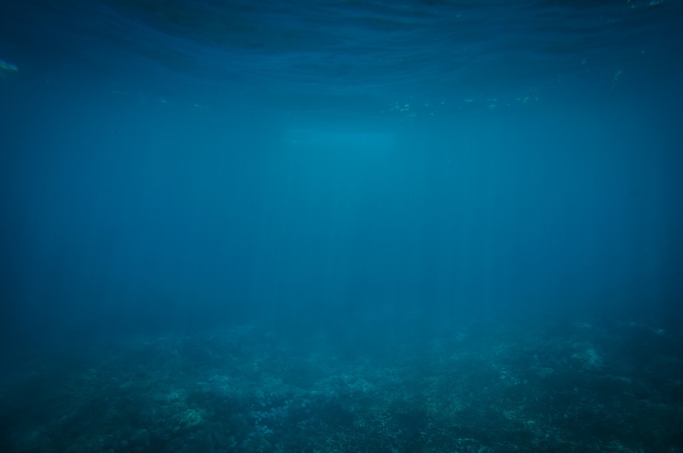underwater, blue, ocean