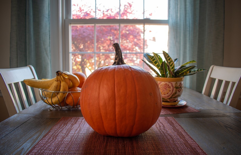 pumpkin, thanksgiving, meal