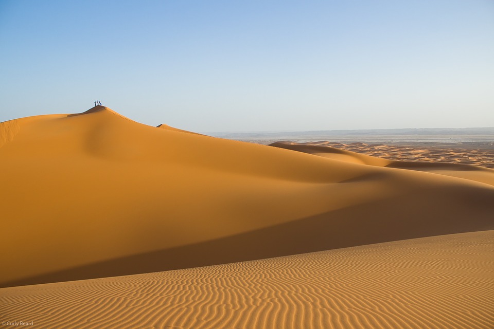 desert landscape, sand, dune
