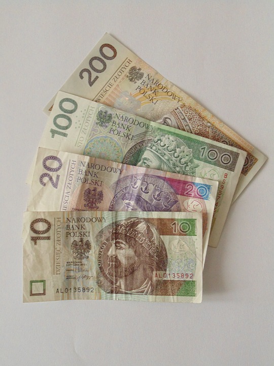 banknotes, polish, money