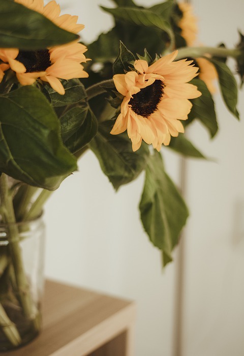 sunflower, bouquet, decorative