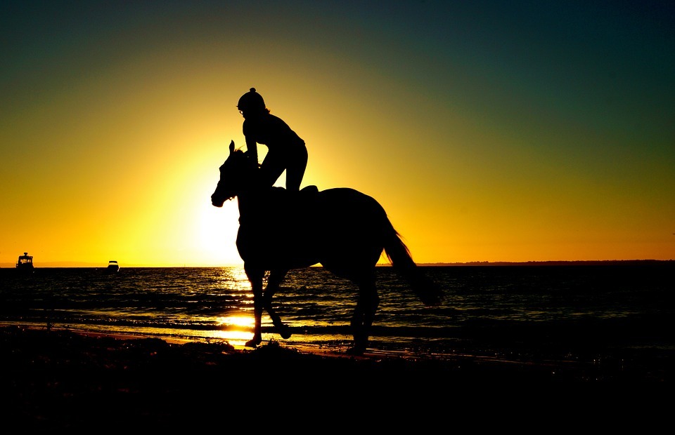 riding, horse, beach