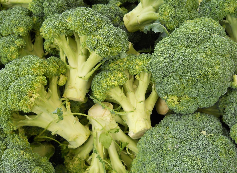 broccoli, green, food