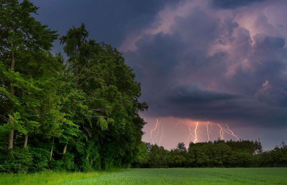 thunderstorm, forest, field