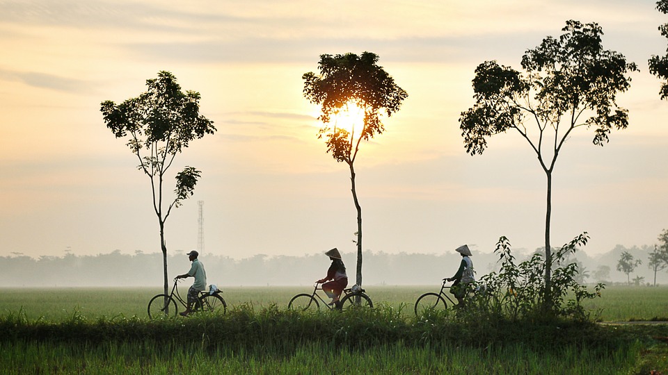 bicycle riding, persons, asia