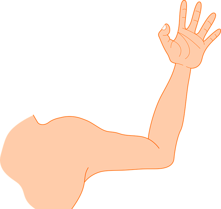 http://static.everypixel.com/ep-pixabay/1441/5955/1866/87579/14415955186687579157-hand_arm.png