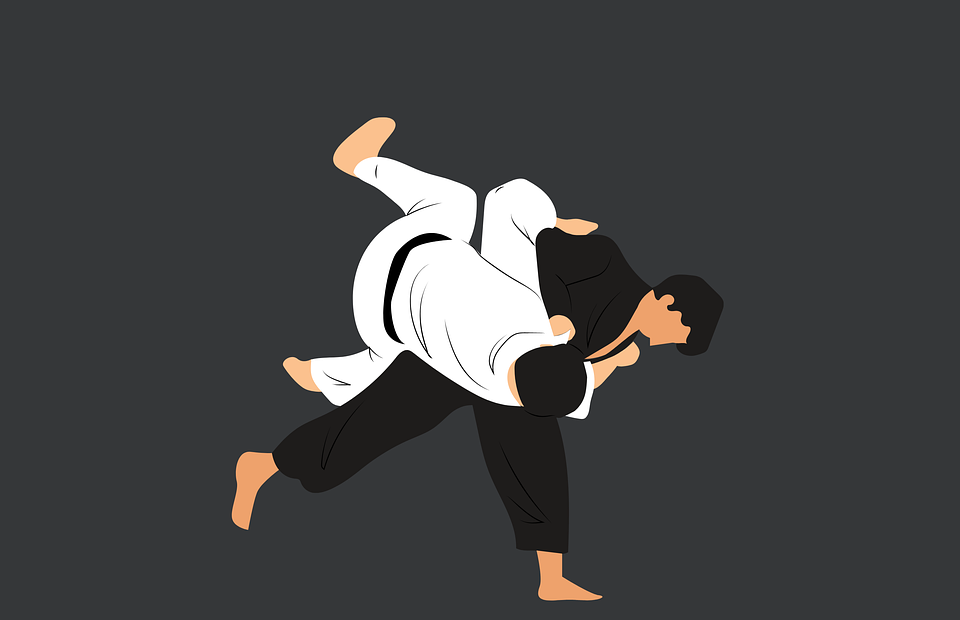 judo, martial art, training