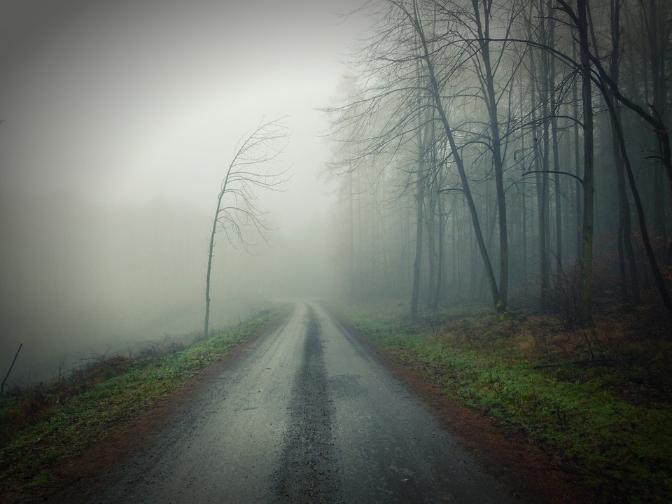 dirt, road, fog