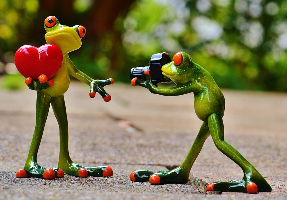 frogs, love, valentine's day Stock Images Page Everypixel