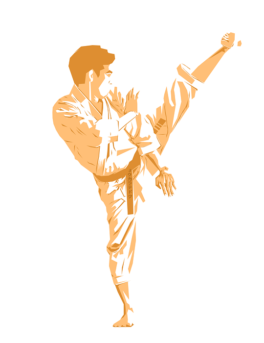 fighter, karate, tae kwon do