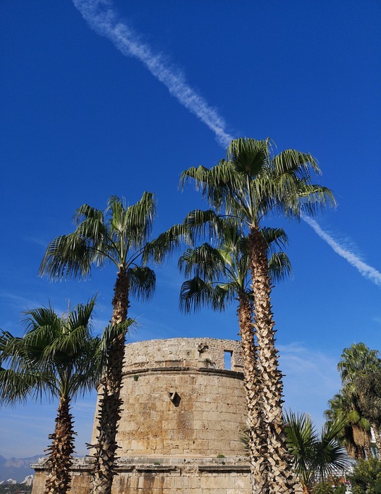 palm trees, ruins, tourist attraction