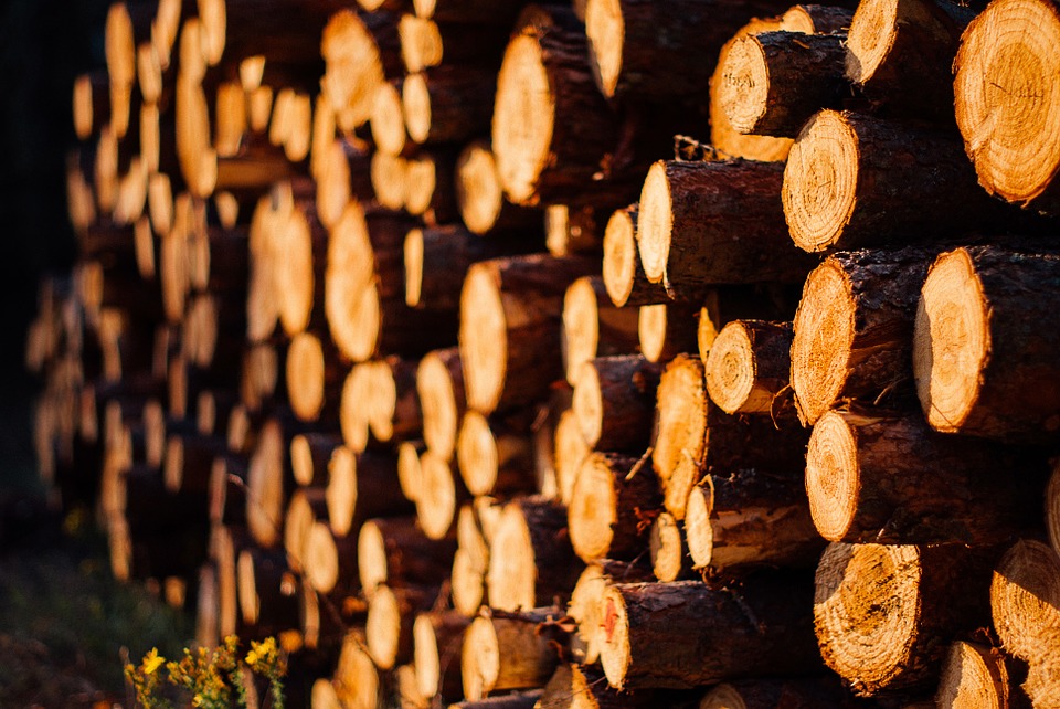 wood, logs, lumber