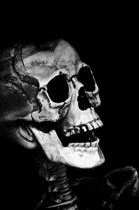 skull, halloween, people