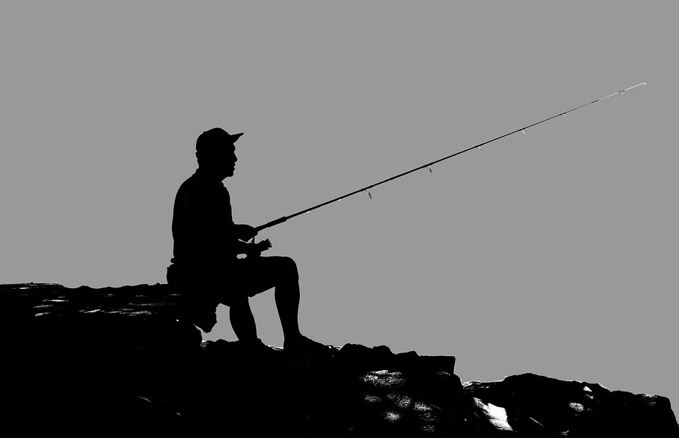 fisherman, man, fishing