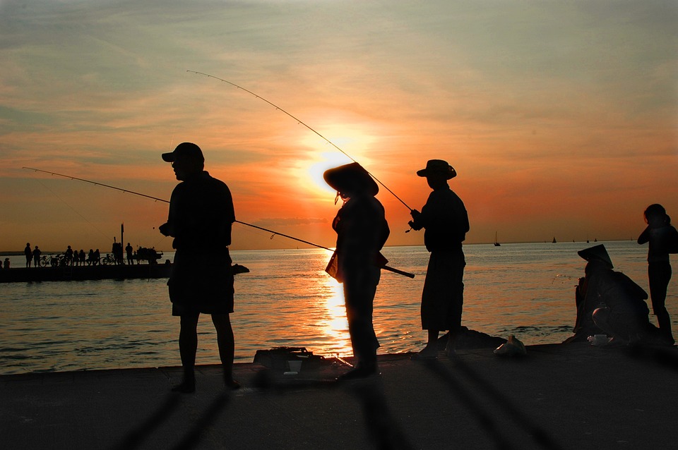 fishing, dusk, dawn