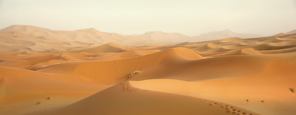 desert, morocco, dunes
