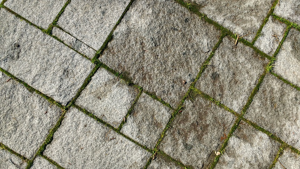 floor, texture, moss