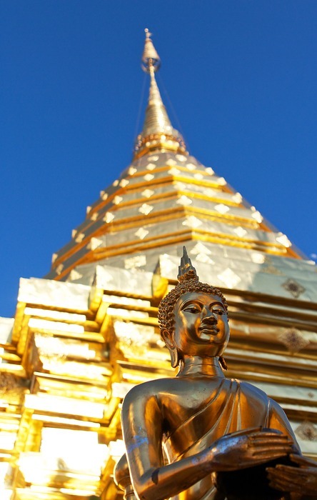 temple, chiang mai, gold