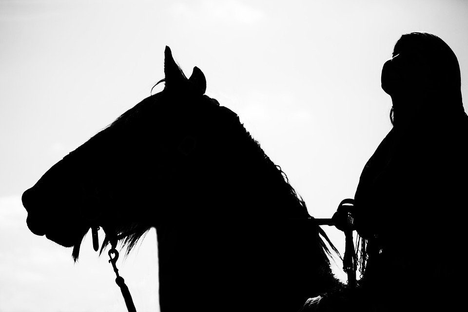 horse, horse show, equestrian