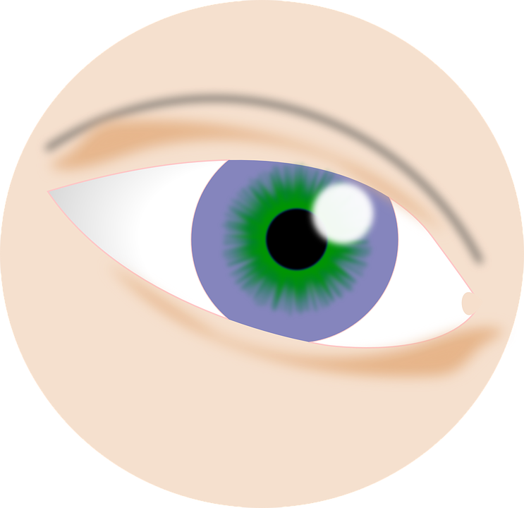 eye, visual, iris