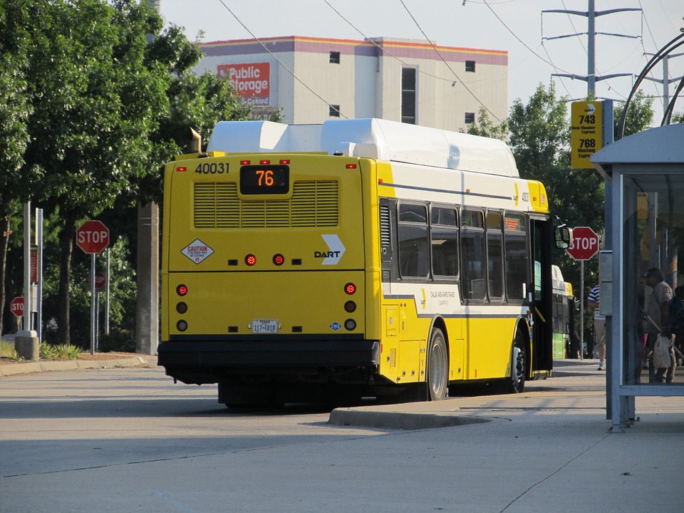 dallas, city bus, public transportation