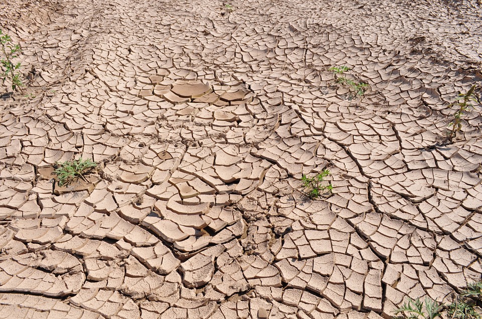 drought, cracked earth, dry earth