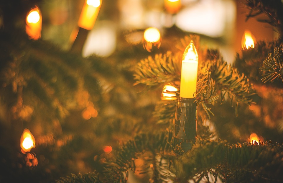 christmas, tree, lights