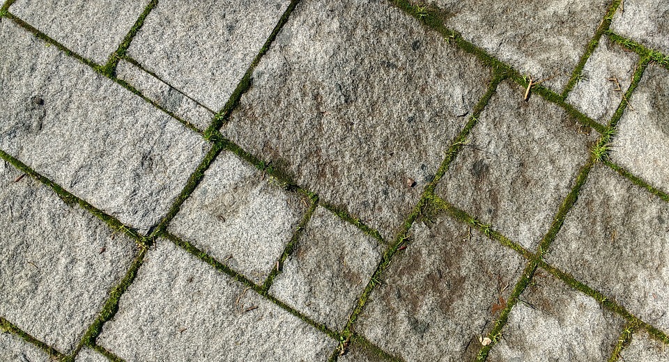 floor, texture, moss