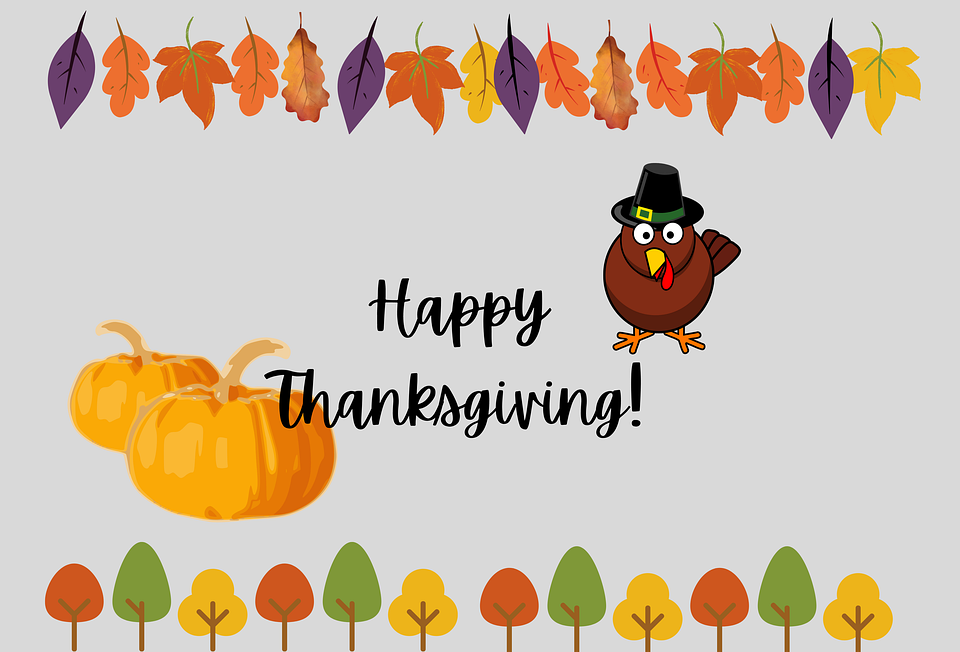 thanksgiving, turkey, holiday