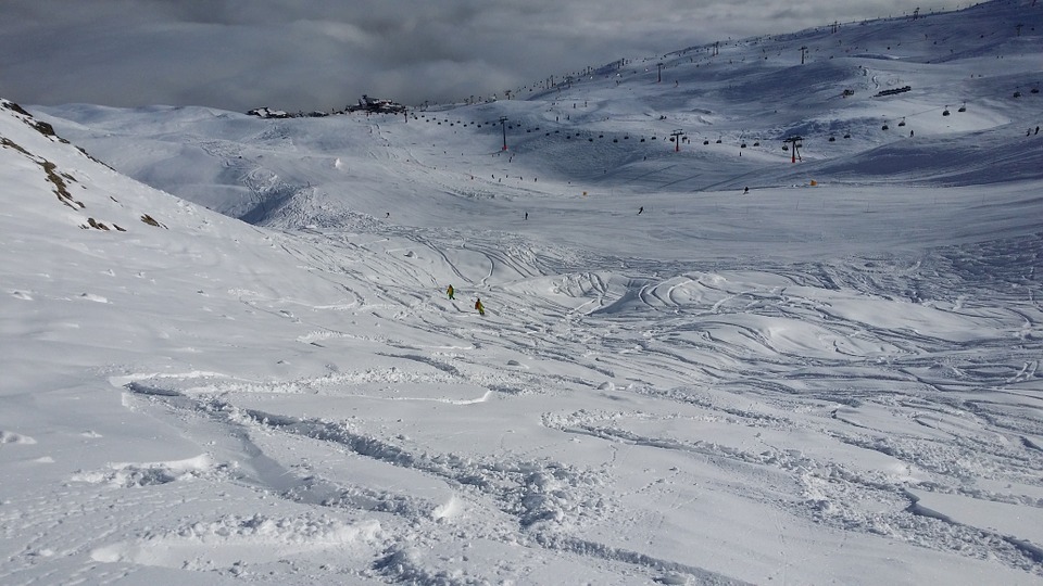 skiing, winter sports, snow