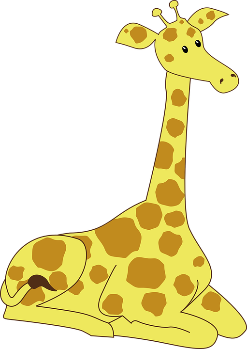 giraffe, male, nature