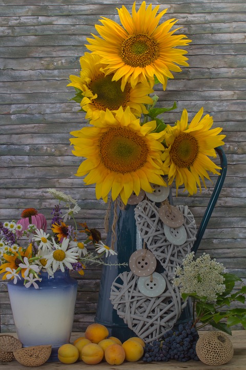 still life, sunflower, flowers